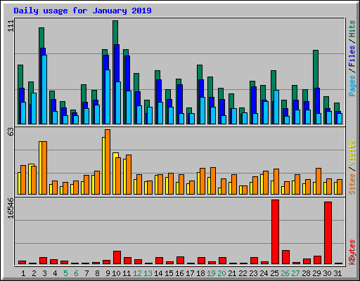 Daily usage for January 2019