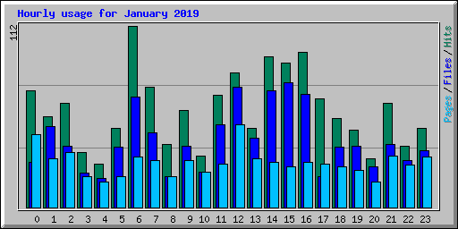 Hourly usage for January 2019