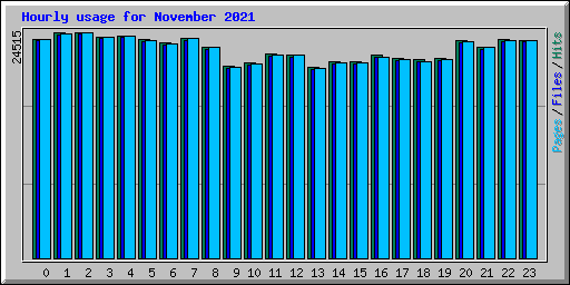 Hourly usage for November 2021