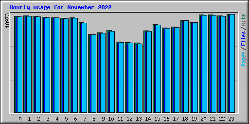 Hourly usage for November 2022