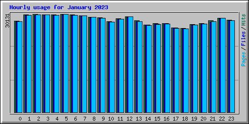 Hourly usage for January 2023