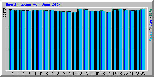 Hourly usage for June 2024