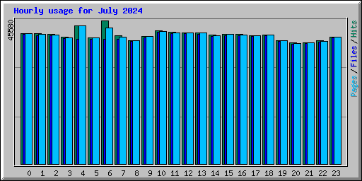 Hourly usage for July 2024