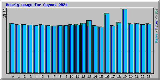 Hourly usage for August 2024