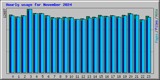 Hourly usage for November 2024