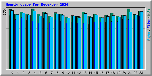 Hourly usage for December 2024