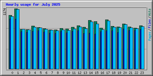 Hourly usage for July 2025