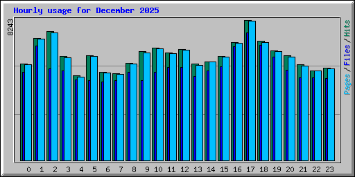 Hourly usage for December 2025