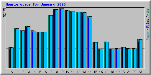 Hourly usage for January 2026