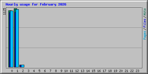 Hourly usage for February 2026